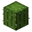 minecraft:cactus
