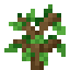 minecraft:oak_sapling